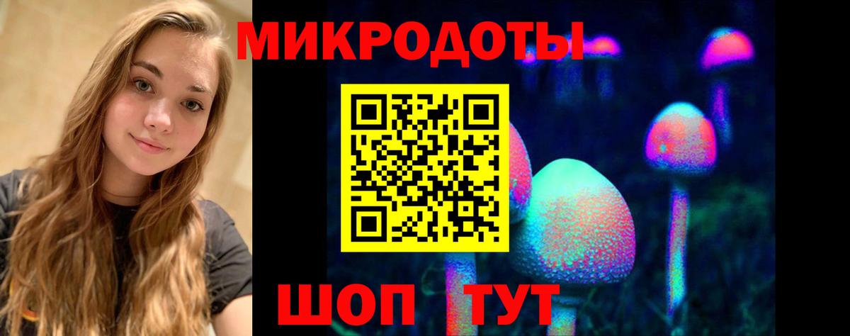 Кулебаки  Псилоцибиновые грибы MAGIC MUSHROOMS  Вход с VPN  Галлюциногенные грибы Psilocybine cubensis 
